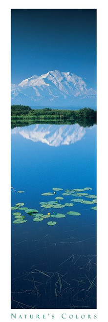 Mountain and Lilypads Poster Print by Unknown Unknown # F101659