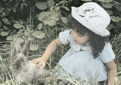 Girl and Bunny Poster Print by Unknown Unknown # F101630