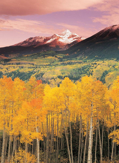 Mountain Valley Poster Print by Unknown Unknown # F101696