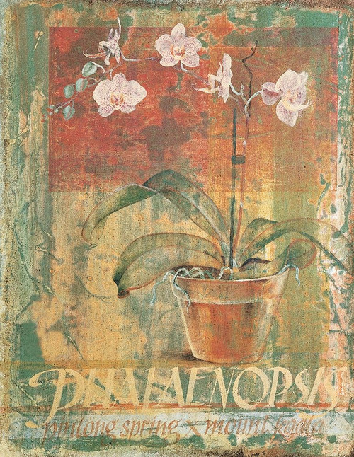 Potted White II Poster Print by Unknown Unknown # F100896