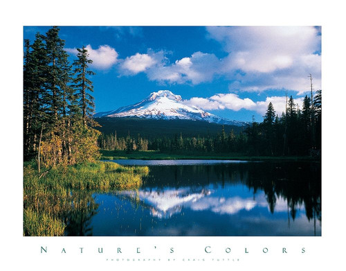 Reflections Mountain in Lake Poster Print by Unknown Unknown # F101547