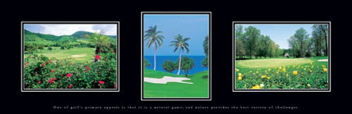 Golf Palms Poster Print by Unknown Unknown # F101496