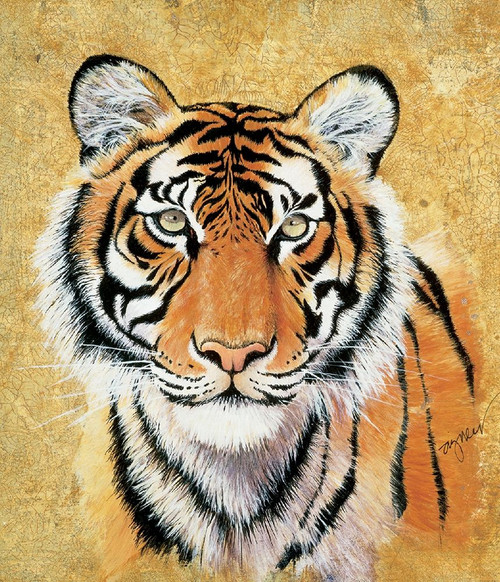 Tiger Poster Print by Unknown Unknown # F101397