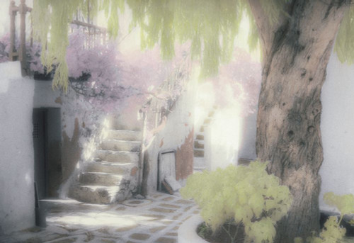 Stairs and Tree Poster Print by Unknown Unknown # F101401