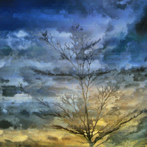 Marble Skies Poster Print by Ronald Bolokofsky # FAS1201