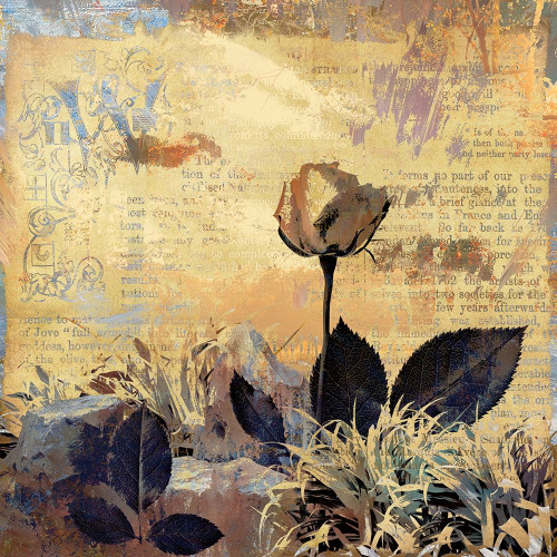 Prairie Rose Poster Print by Ronald Bolokofsky # FAS1212