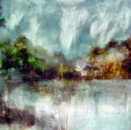 Around the Lake I  Poster Print by Ronald Bolokofsky # FAS1089