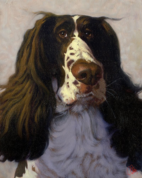 Springer Poster Print by Thomas Fluharty # F796D