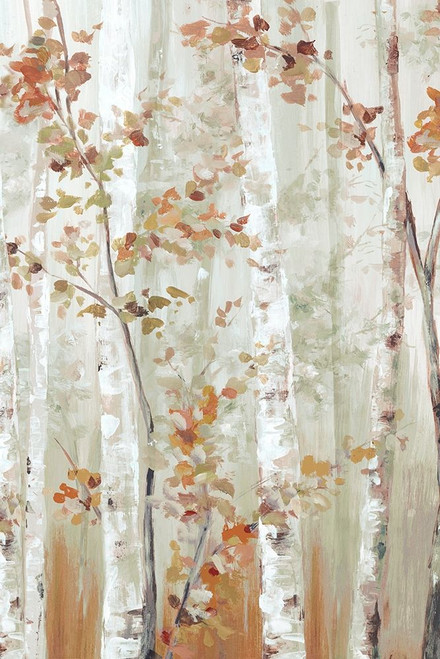 Birch Wood I  Poster Print by Eva Watts # EW598A