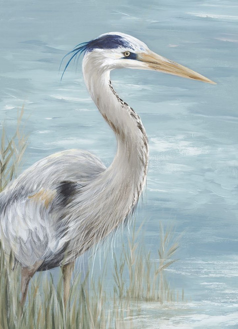 Great Blue Heron Gaze Poster Print by Eva Watts # EW544A