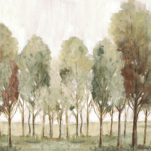 Silent Fall I  Poster Print by Eva Watts # EW611A