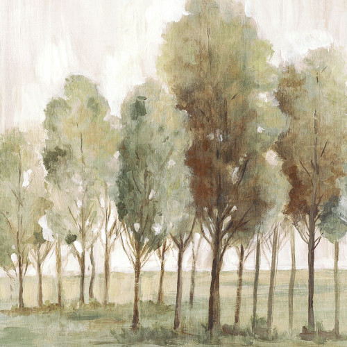 Silent Fall II  Poster Print by Eva Watts # EW612A