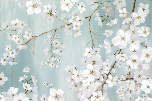 Flower Snow Poster Print by Eva Watts # EW619A