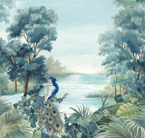 Peafowl Poster Print by Eva Watts # EW506A
