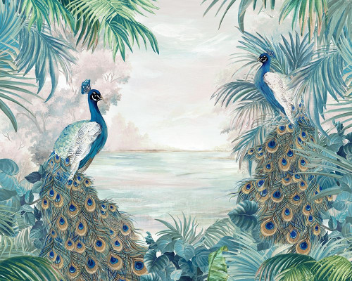 Indian Peafowls Poster Print by Eva Watts # EW508A