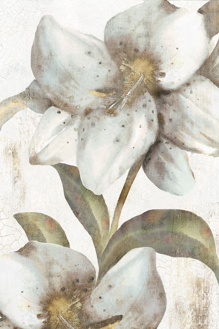 Italian Love Poster Print by Eva Watts # EW499A