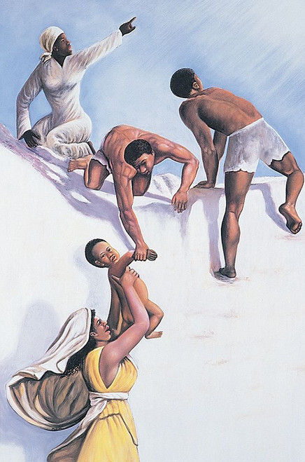 In the Sky Poster Print by Unknown Unknown # DP039