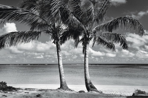 Summer Breezes I Poster Print by Dennis Frates # DE030A