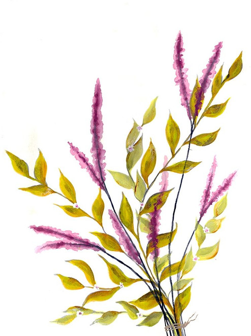 Free Floral Poster Print by Doris Charest # DCRC021B