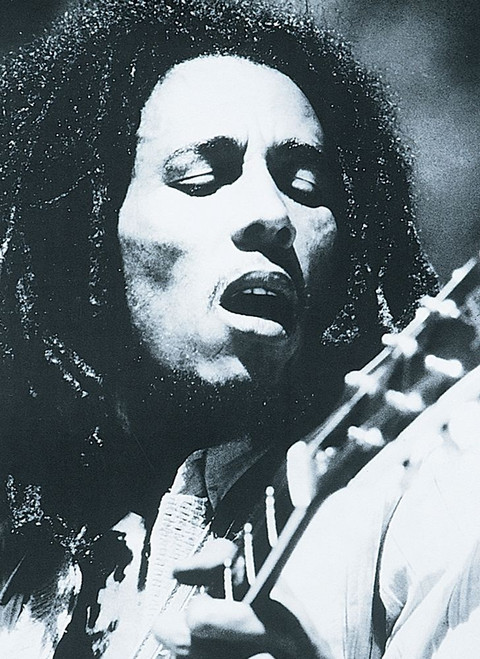 Bob II Poster Print by Unknown Unknown # DC80
