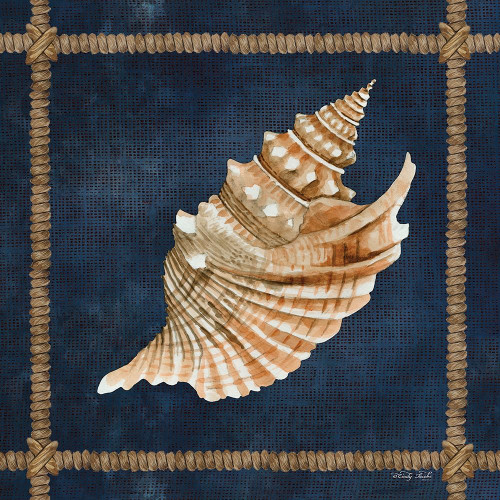 Seashell on Navy V Poster Print by Cindy Jacobs # CIN2375