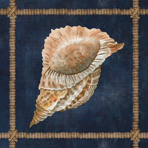 Seashell on Navy VI Poster Print by Cindy Jacobs # CIN2376