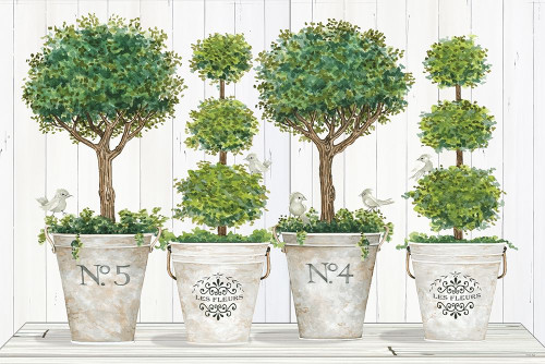 Topiary Still Life Poster Print by Cindy Jacobs # CIN1957