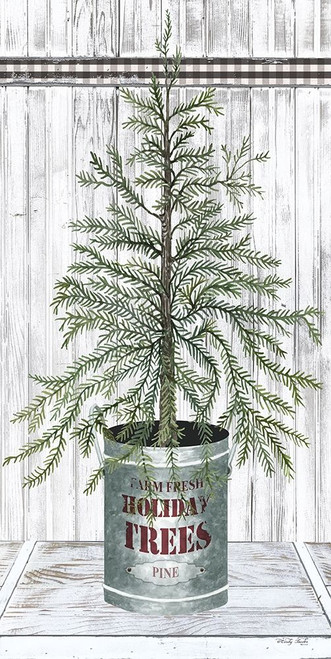 Galvanized Pot Pine Poster Print by Cindy Jacobs # CIN1775