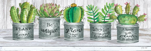 Galvanized Pot Succulents I Poster Print by Cindy Jacobs # CIN1813A