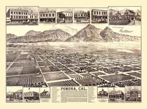 Pomona California - Elliot 1886 Poster Print by Elliot Elliot # CAPO0006