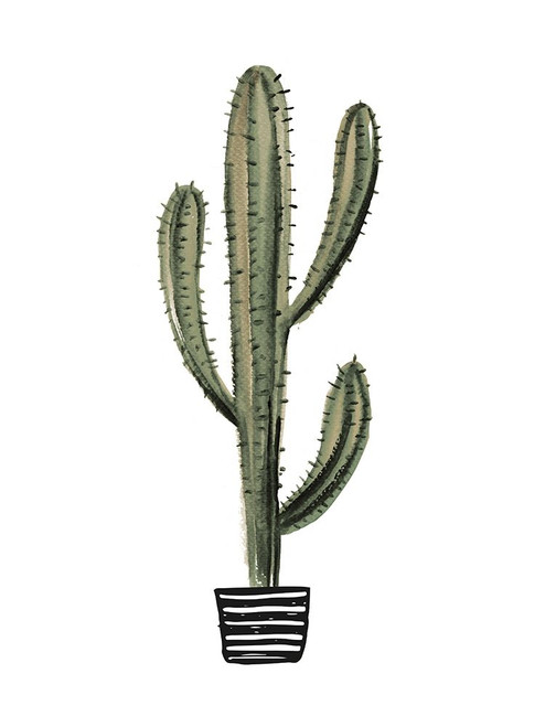 Cactus 3 Poster Print by Braun Studio Braun Studio # C273
