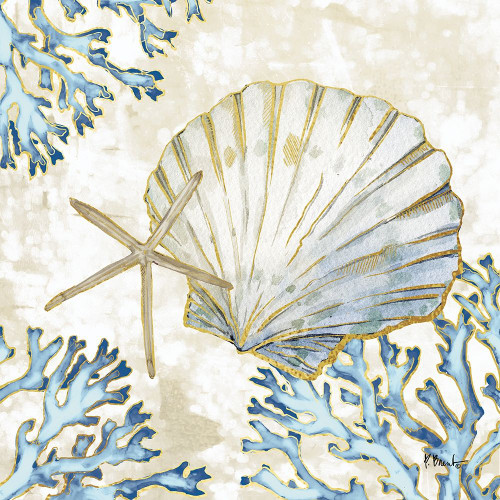 Playa Shells II Poster Print by Paul Brent # BNT1563