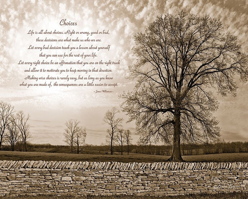 Choices Poster Print by Susie Boyer Susie Boyer # BOY242