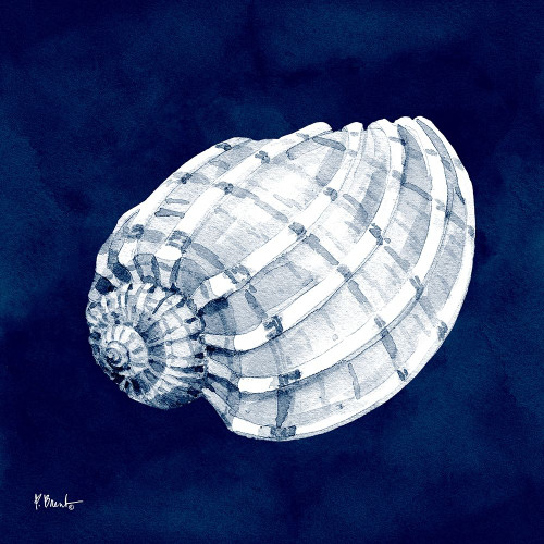 Cyano Shells I Poster Print by Paul Brent # BNT1556