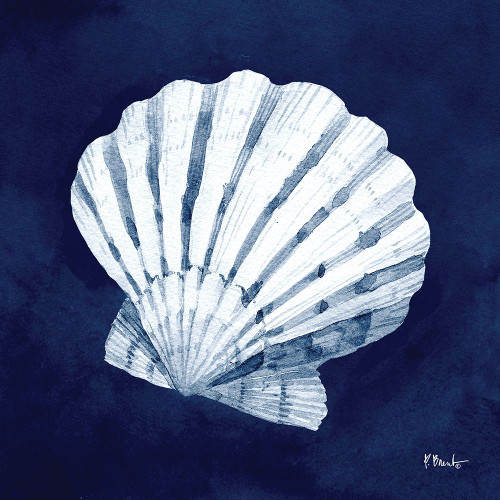 Cyano Shells II Poster Print by Paul Brent # BNT1557