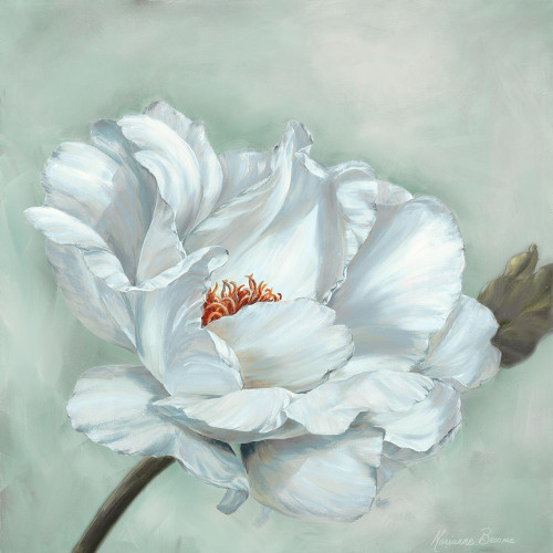 Precious Peony I Poster Print by Marianne Broome # BR059A