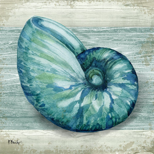 Northpoint Shells III Poster Print by Paul Brent # BNT1538