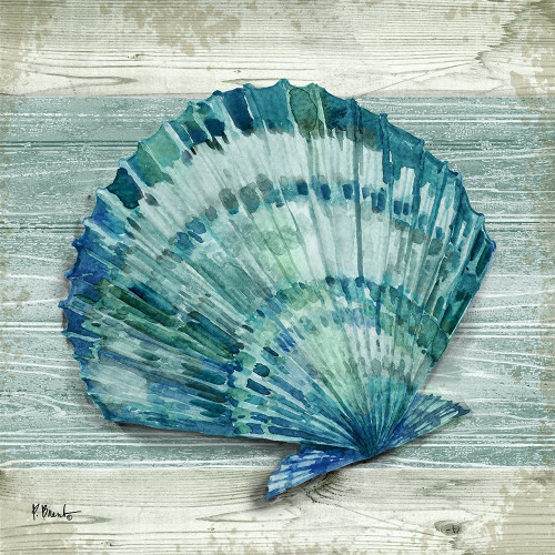 Northpoint Shells II Poster Print by Paul Brent # BNT1537