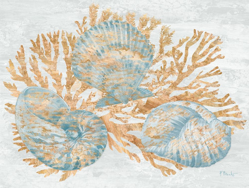 Shimmering Shells II Poster Print by Paul Brent # BNT1527