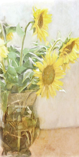 Sunflower    Poster Print by Bluebird Barn Bluebird Barn # BLUE490