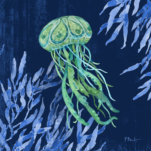 Bondi Sealife I Poster Print by Paul Brent # BNT1477