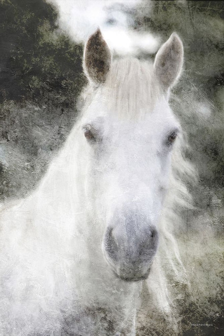 White Horse Mystique    Poster Print by Bluebird Barn Bluebird Barn  # BLUE461