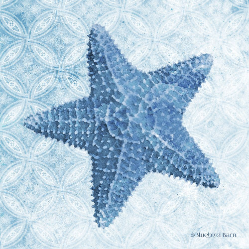 Starfish I Poster Print by Bluebird Barn Bluebird Barn # BLUE372