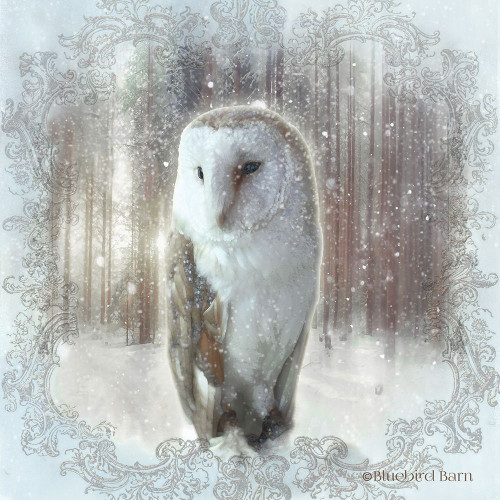 Enchanted Winter Owl    Poster Print by Bluebird Barn Bluebird Barn # BLUE153