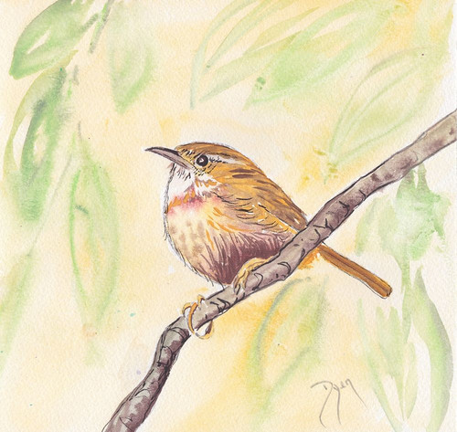 Sunny Wren Poster Print by Beverly Dyer # BDSQ070