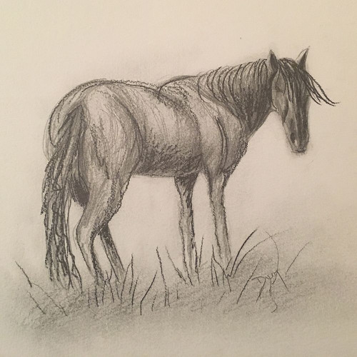 Brown Beauty Poster Print by Beverly Dyer # BDSQ071A