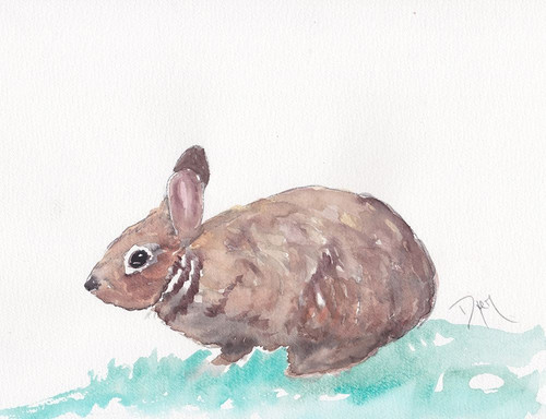 Bunny Poster Print by Beverly Dyer # BDRC202