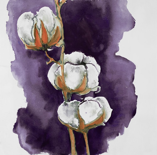 Watercolor purple cotton flowers Poster Print by Atelier B Art Studio Atelier B Art Studio # BEGFLO2522