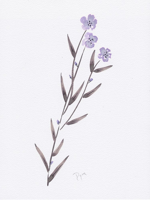 Lavender Wildflowers III Poster Print by Beverly Dyer # BDRC193C1