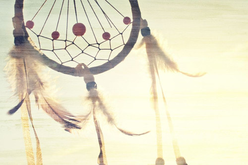 Follow Your Dreams Catcher Poster Print by Ann Bailey # BARC008A2